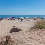 Plage à 300 mètres du Camping