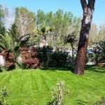 Emplacement camping - Camping Hérault