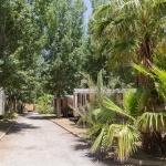 Un camping verdoyant