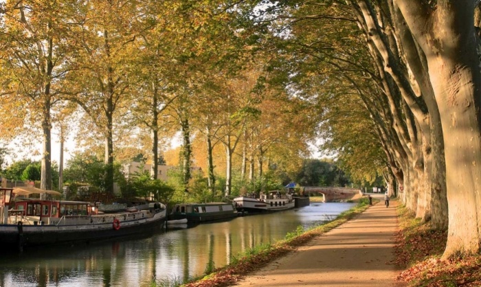 Le Canal du Midi